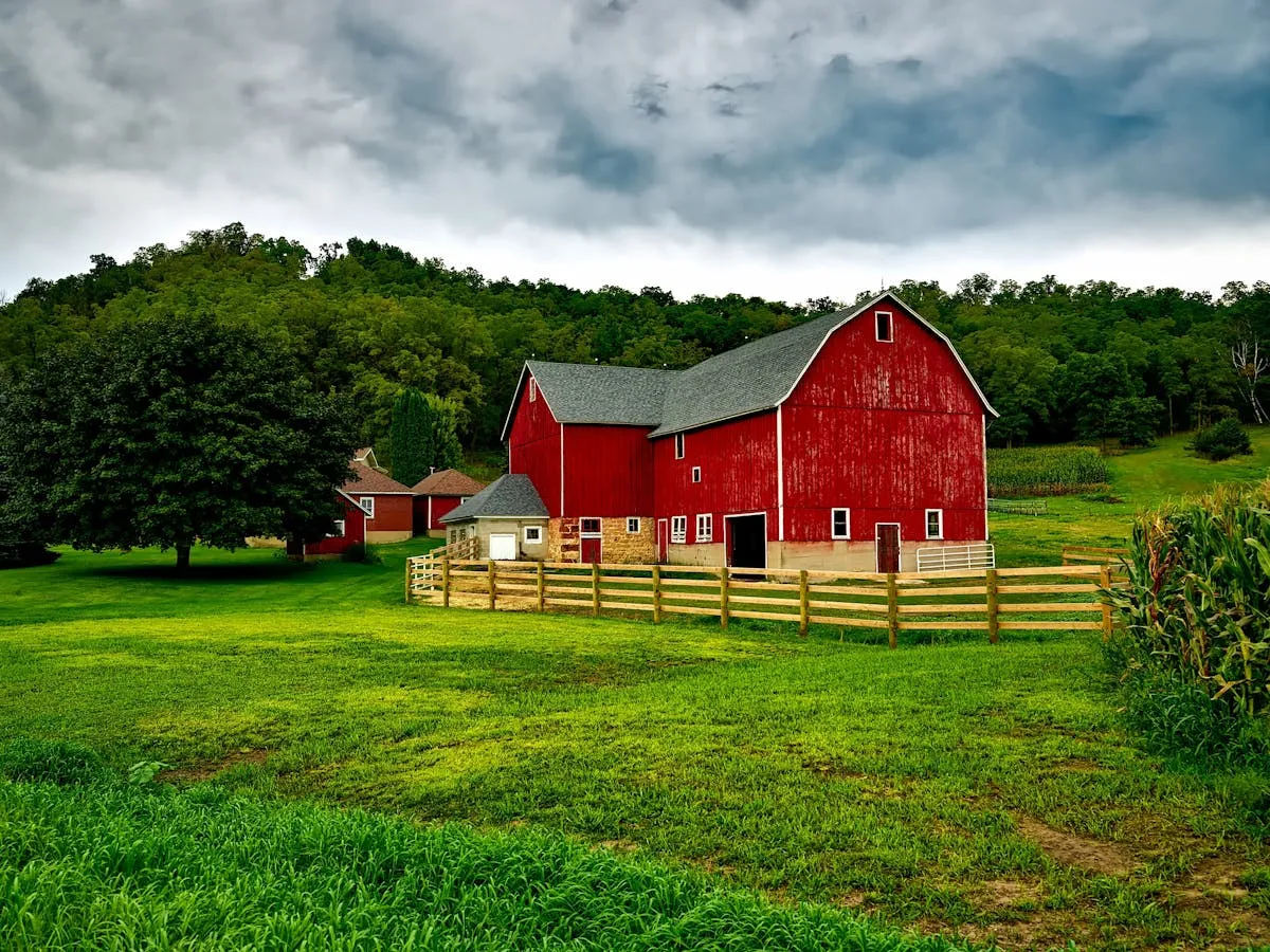 3 Surprising Farm Stories You Won’t Believe Are Real