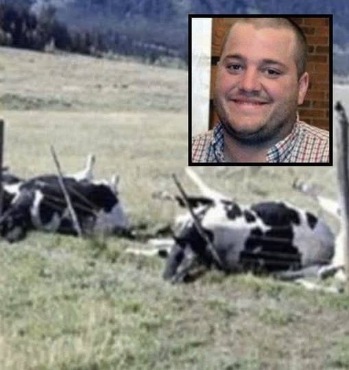 Farmer And 16 Cows Found Dead, Cause Of Death Finally Discovered.