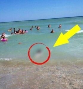 The Moment People were Speechless when they saw what emerged from the sea…