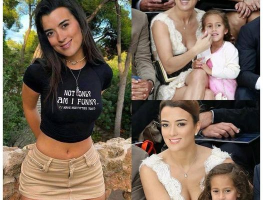 Cote de Pablo, 51, is showing off her new boyfriend… and you better sit down, because you might recognize him!