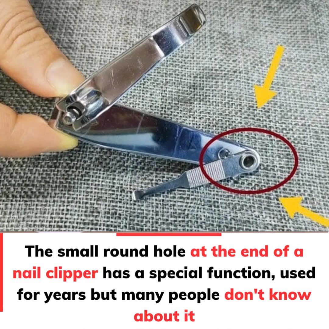 The “small round hole” on the nail clipper has special and powerful uses