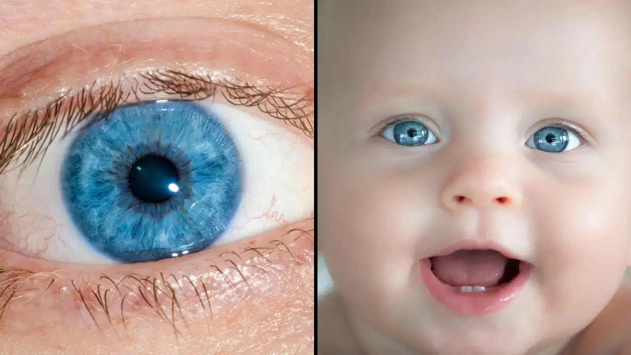 All Blue-Eyed People Have This One Thing In Common