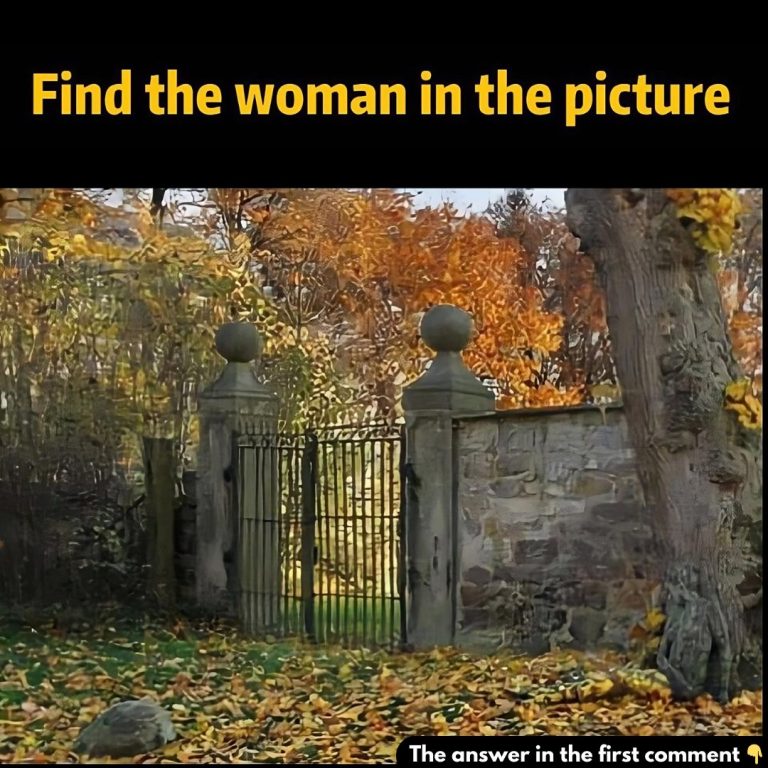 Can You Spot the Hidden Woman in This Optical Illusion? Test Your Observation Skills!