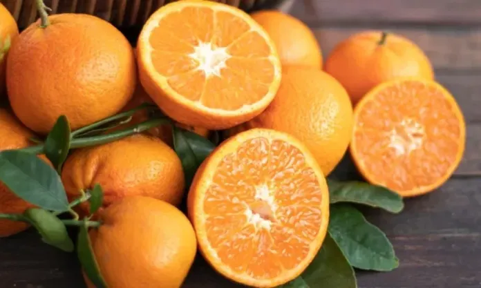 The Unique Differences Between Oranges with “Big Navel” and “Small Navel”