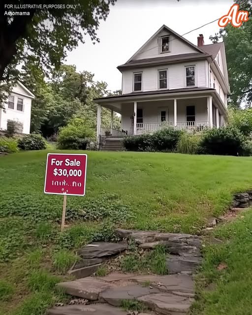 The House Was So Cheap I Thought I Won the Lottery, but When I Saw the Basement, I Understood Everything — Story of the Day