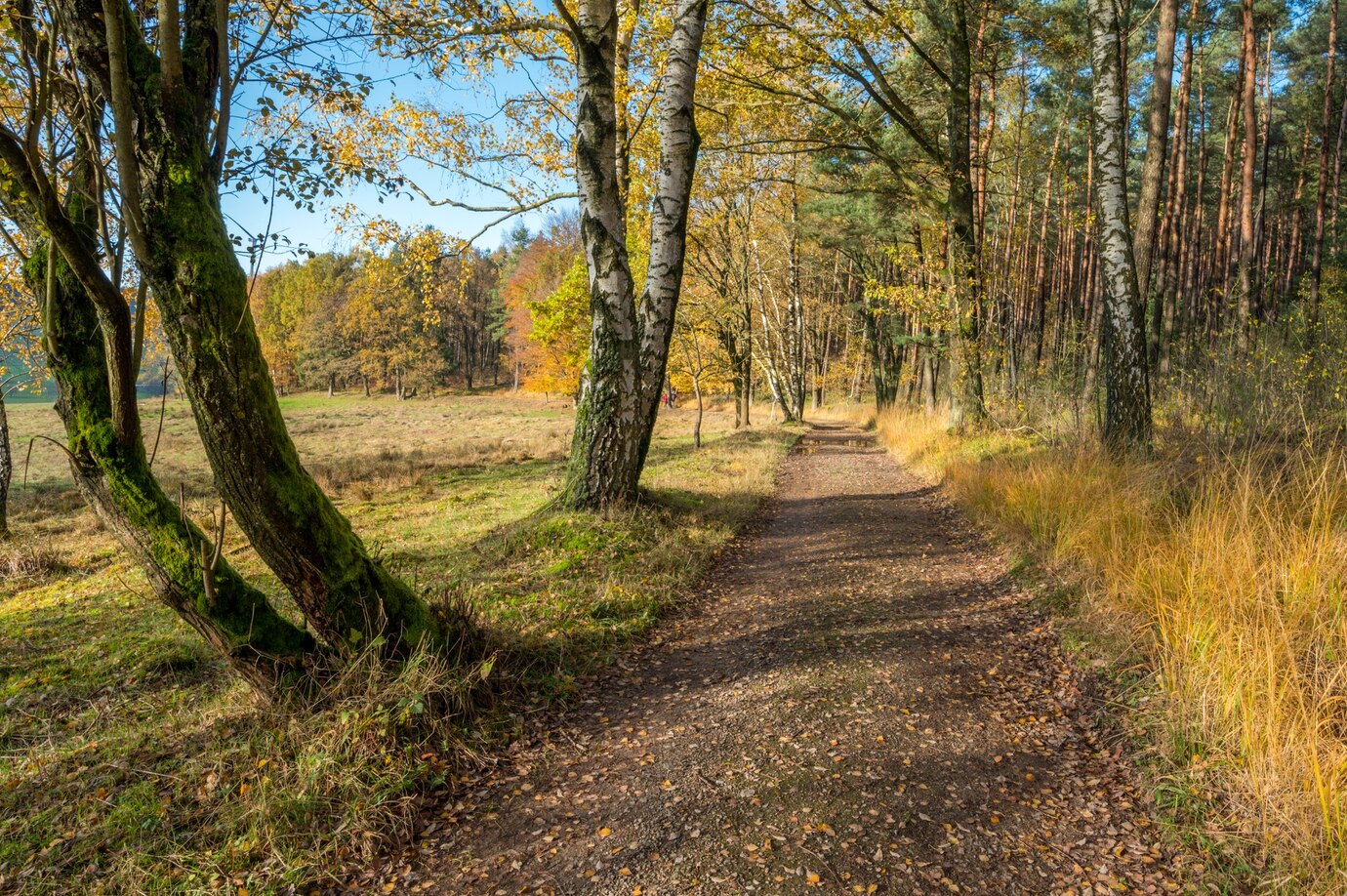 My Son Got Lost in the Woods — When I Found Him, He Said, ‘Dad, There’s a Cabin with a Crying Child Inside!