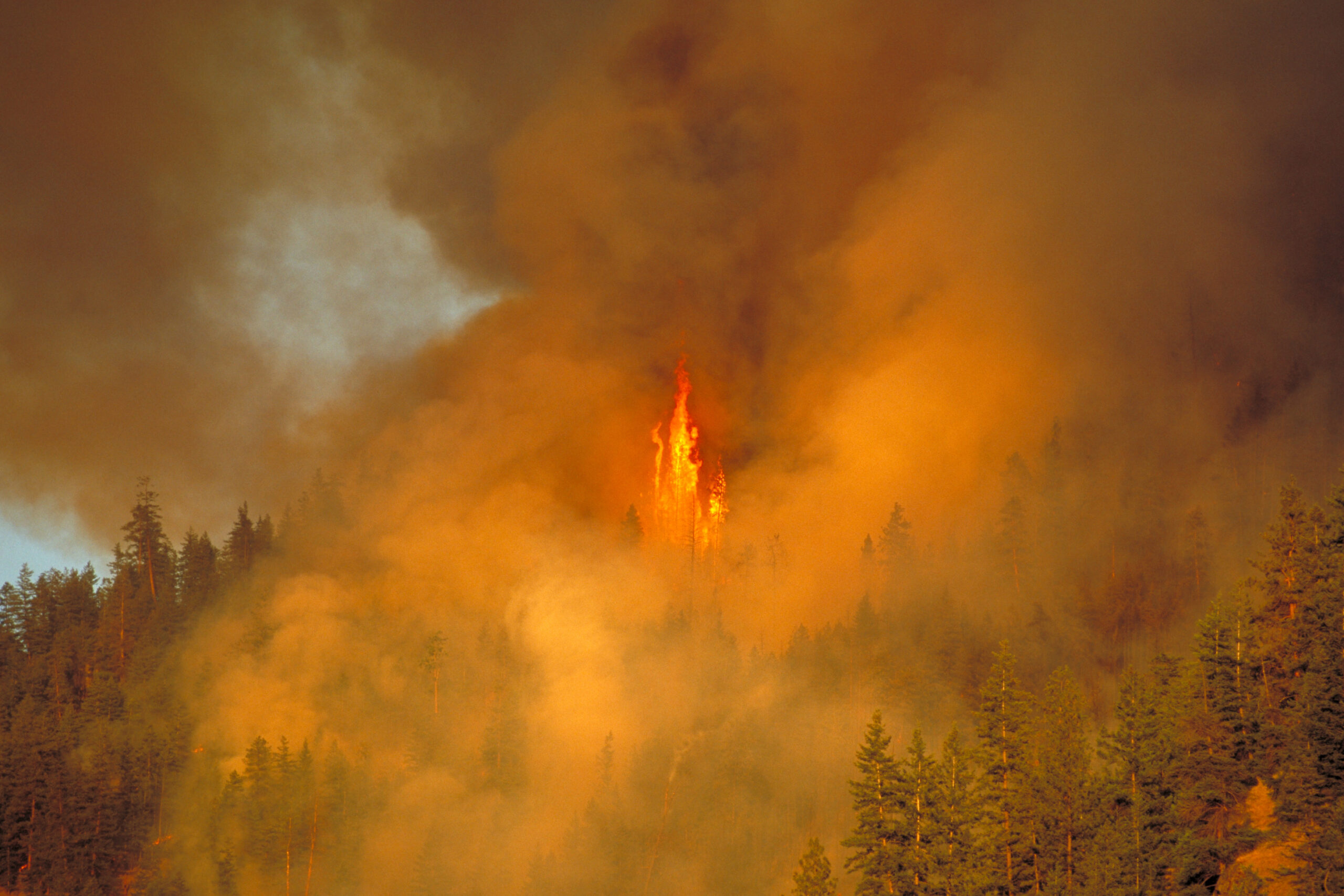 Actress Says Winds Aggravating CA Wildfires “Due to Climate Change”