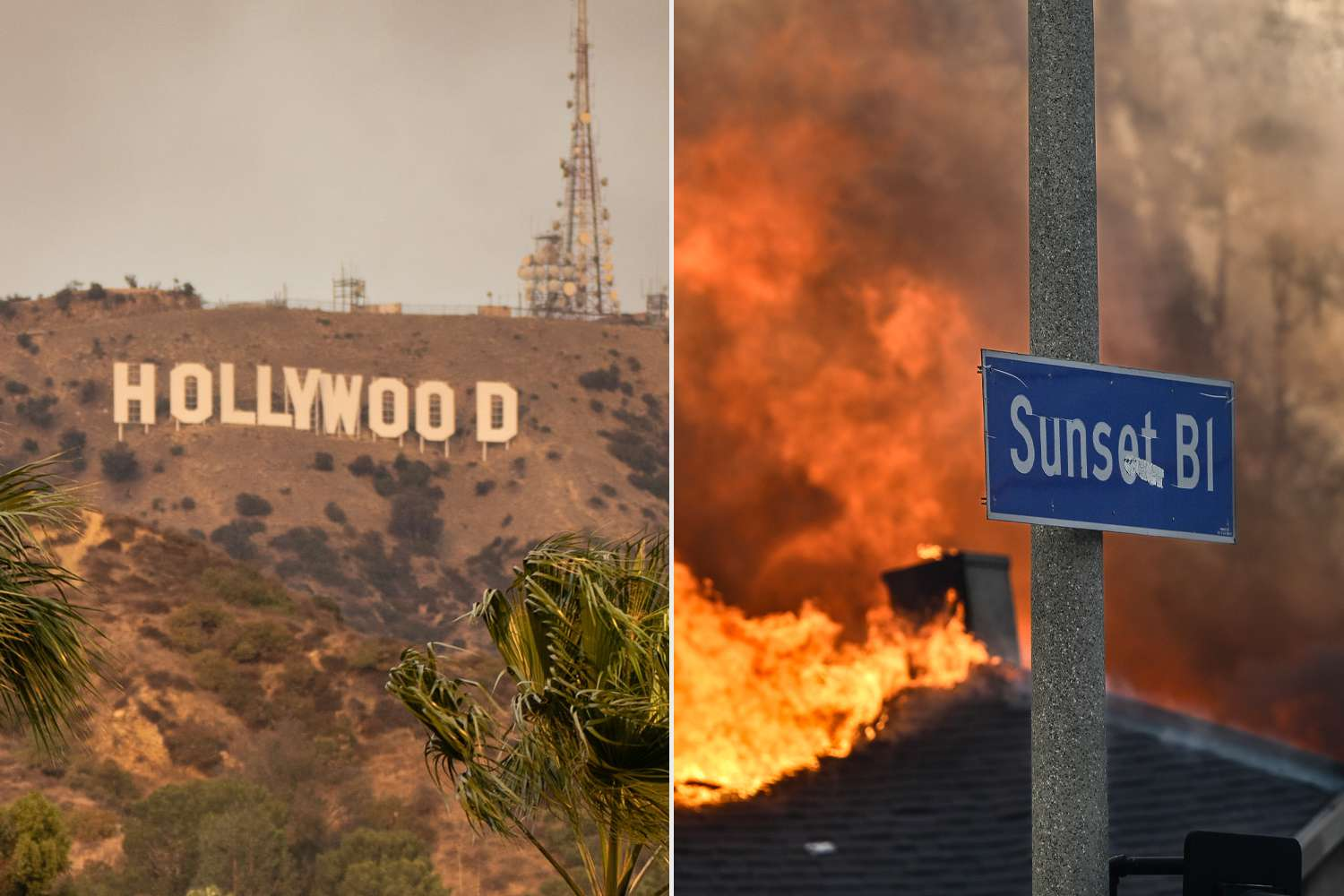 Another Wildfire Ignites in Hollywood Hills, Marking the Sixth in Los Angeles