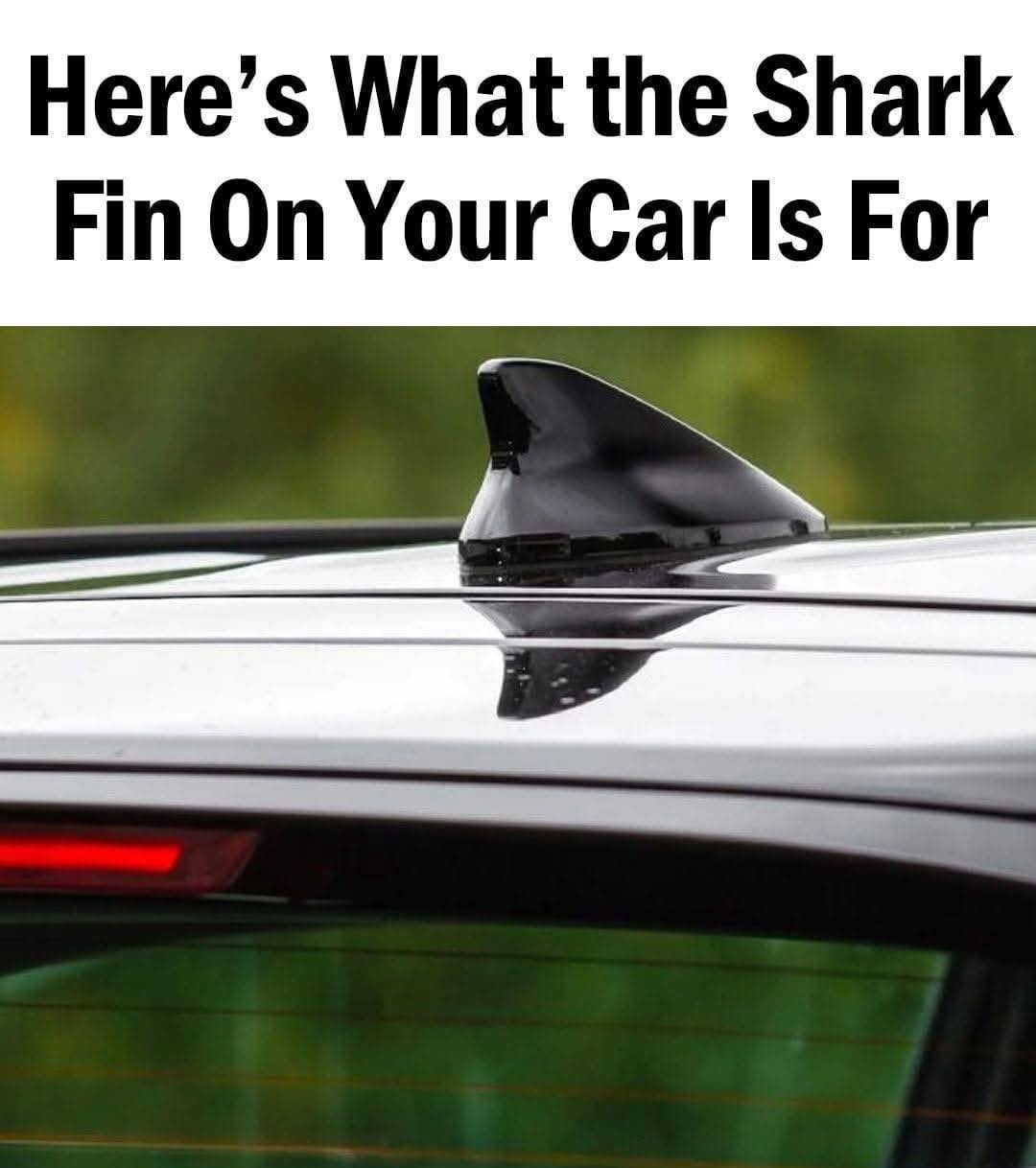 The shark fin on your car serves an important purpose.