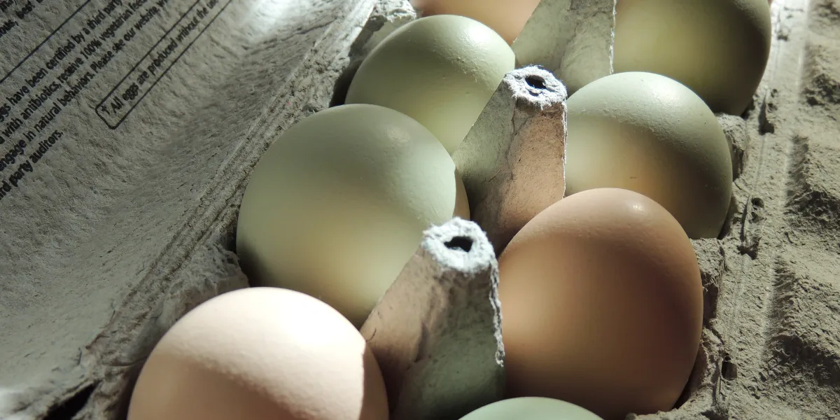 My MIL Stole Eggs from My Fridge — What Else I Caught on the Hidden Camera Made My Blood Run Cold