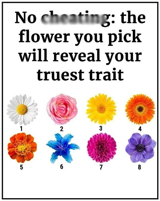 The Flower You Choose Reveals Your True Self: Exploring How Your Favorite Bloom Reflects Your Personality