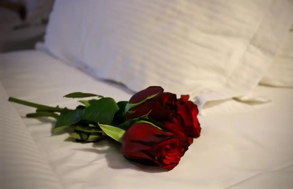 A Single Rose Unveiled a Lifetime of Secrets: My Anniversary That Changed Everything